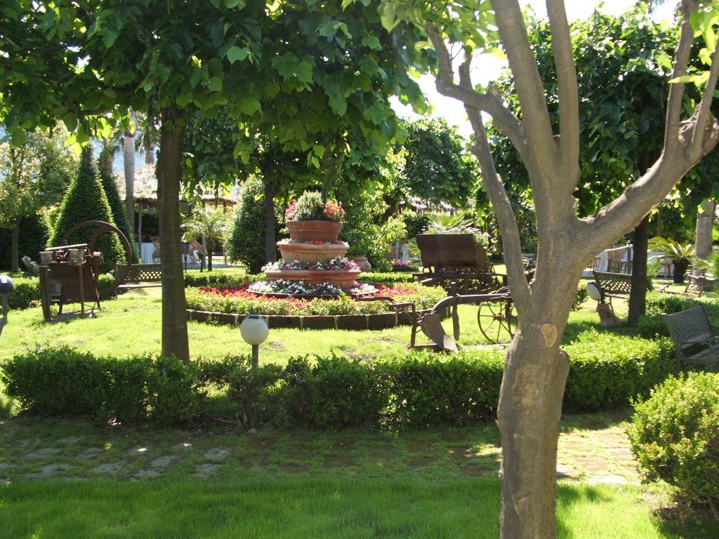 Villa Delle Camelie Gragnano Eksteriør bilde